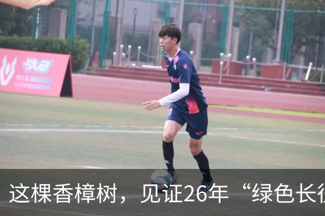 这棵香樟树，见证26年“绿色长征”
